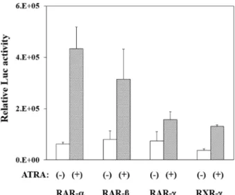 Fig.  4.  Transcriptional  activation  of  bovine  CYP26A1  by  differ- differ-ent  isoforms  of  retinoid  receptors