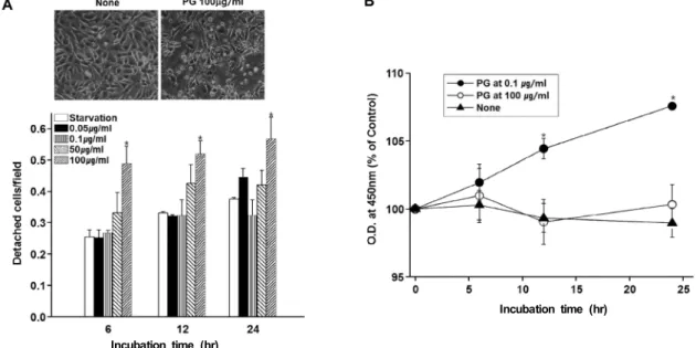 Fig.  1.  PG  at  high  concentration  induces  cell  detachment,  whereas  PG  at  low  concentration  promotes  cell  proliferation  in  bovine  aortic  endothelial  cells