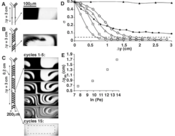 그림 2. Staggered herringbone mixer(SHM) : (A)SHM의 주기적인 흐름 거동.  (B)유로의 수직 방향에 대한 confocal micrograph.