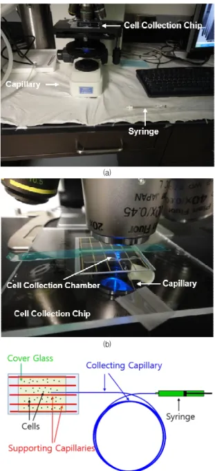 Fig.  2.  PMMA  cell  collection  chips  with  pairs  of  supporting  capillaries  in  the  micro  milled  grooves  to  support  a  cover  glass,  a  cell  collection  capillary  is  inserted  and  movable  under  the  cover  glass