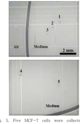 Fig.  5.  Five  MCF-7  cells  were  collected  and  delivered  into  a  hemocytometer  to  confirm  the  process  without  cell  loss  or  cell  trap.