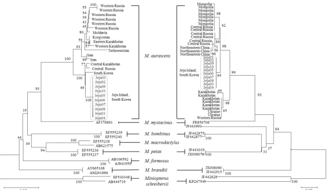 Fig.  3.  Neighbor-joining  trees  based  on  the  sequence  polymorphisms  of  CYTB  (left)  and  COI  (right)  of  M