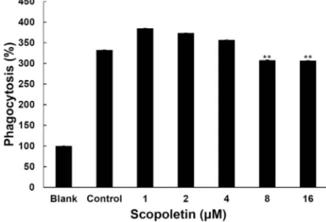 Fig.  2.  Effect  of  of  scopoletin  on  nitric  oxide  in  Raw  264.7  cells. 