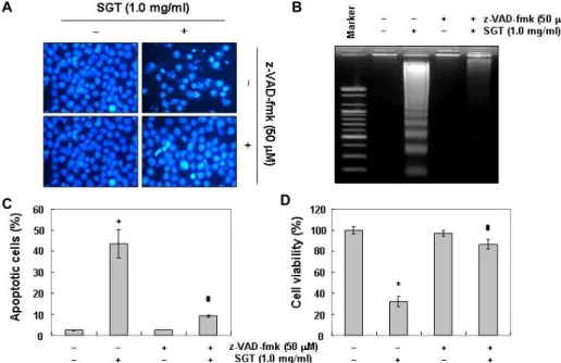 Fig.  6.  Effects  of  a  pan-caspase  inhibitor,  z-VAD-fmk,  on  the  SGT-induced  apoptosis  and  growth  suppression  in  AGS  cells