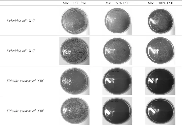 Fig.  1.  Growth  of  colonies  of  E.  coli  ATCC  25922  and  K.  pneumoniae  ATCC  13883  from  spreads  plated  by  the  plate  spreading  method  on  the  MacConkey  agar  with/without  corn  silk  extract