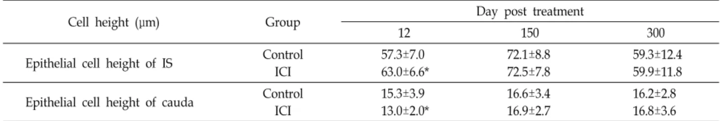 Table  2.  Epithelial  cell  height  of  IS  (initial  segment)  and  cauda  in  epidydimis  of  control  and  ICI  treated  groups