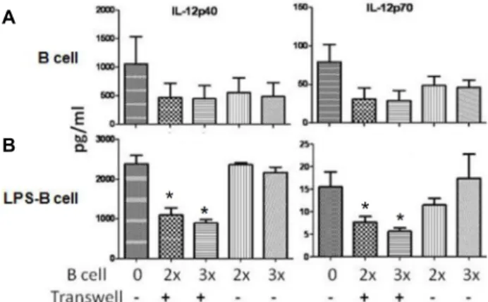 Fig  1.  A  novel  IL-12-inhibiting  activity  secreted  by  LPS  stimu- stimu-lated  B  lymphocytes