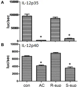 Fig.  3.  IL-12  transcription  was  inhibited  by  the  soluble  factor  from  LPS  stimulated  B  lymphocytes