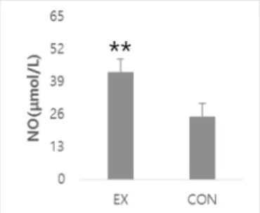 Fig.  4.  Change  in  NO  after  4  weeks  treadmill  exercise.