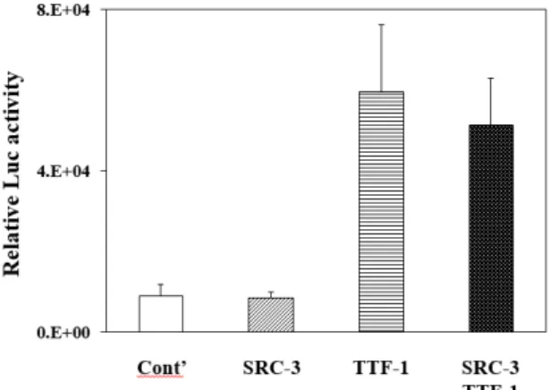 Fig.  3.  Effects  of  SRC-3  and  TTF-1  on  the  expression  of  CCSP  gene.  Mouse  transformed  Clara  cells  were  used  for   tran-sient  transfection  assays  for  the  expression  of  the  CCSP  gene  and  the  CCSP  gene  expression  was  measured