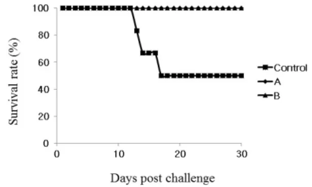 Fig.  6.  Challenge  test  to  BALB/c  vaccinated  via  oral  route  ac- ac-cording  to  ghost  strains
