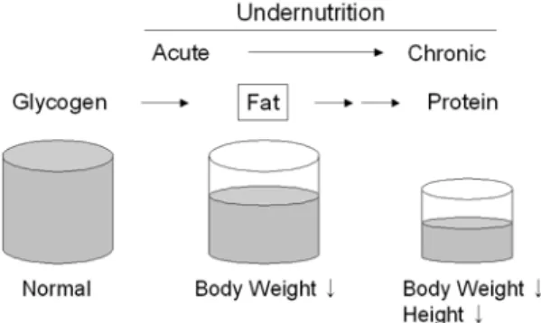 Fig. 4. Changes of body composition according to undernutri- undernutri-tion. Circum. : circumference.