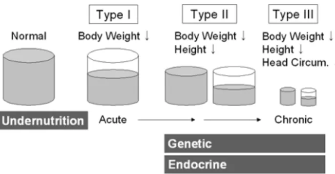 Fig. 7. Anthropometric categories of type II and changes of body composition.