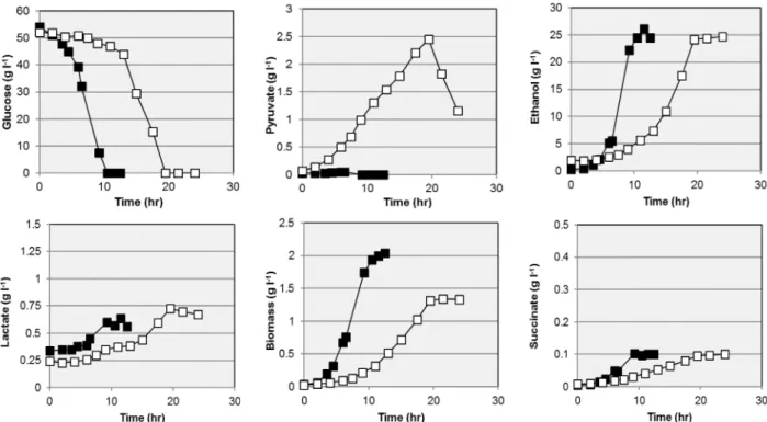 Fig.  4.  Fermentation  profiles  for  the  wild  type  ZM4  (closed  squares)  and  the  insertion-inactivation  mutant  ZM4812  (open  squares)