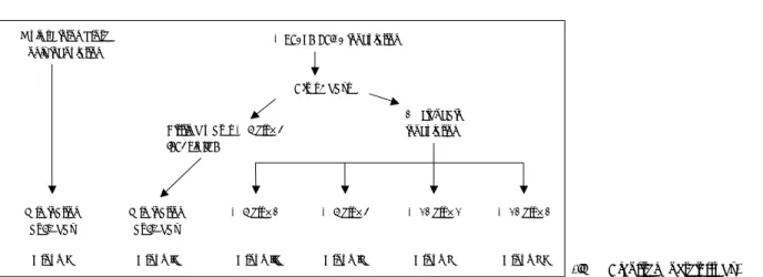 Fig. 1. Algorithm of this study. 