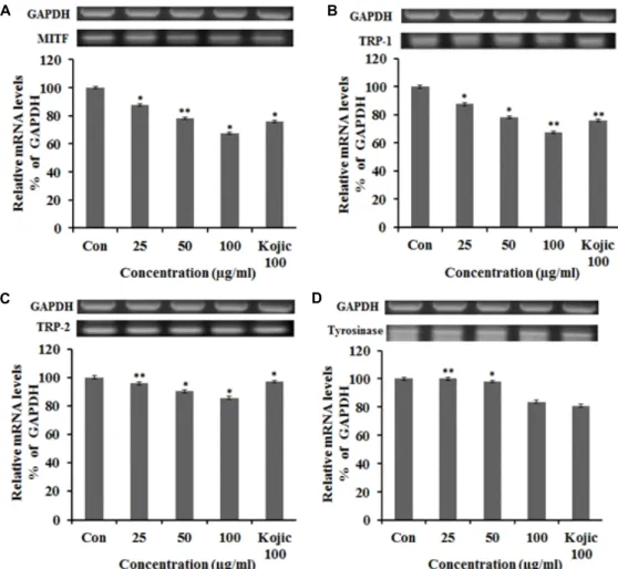 Fig.  6.  MITF,  TRP-1,  TRP-2,  tyrosinase  mRNA  expression  rate  of  extract  from  Nelumbo  nucifera  G