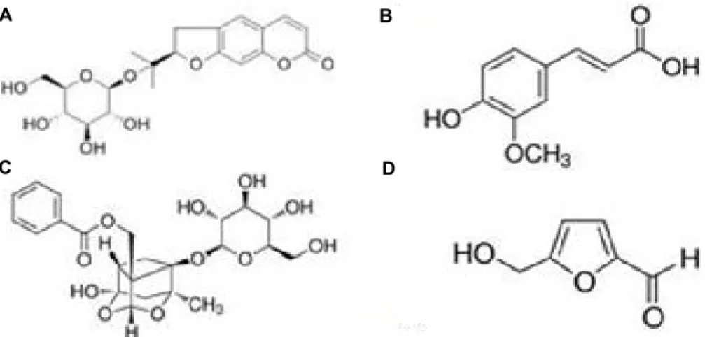 Fig.  1.  Chemical  structures  of  standard  constituents  in  Samul-tang  decoction