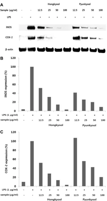 Fig.  5.  Pro-inflammatory  effect  of  ‘Hongkyool’  and  ‘Pyunkyool’ 
