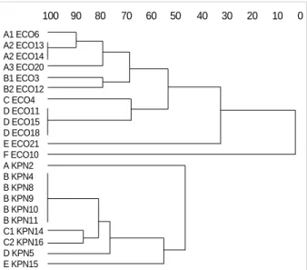 Table 5. Isoelectric points with the relation of extended-spec- extended-spec-trum -lactamase  types