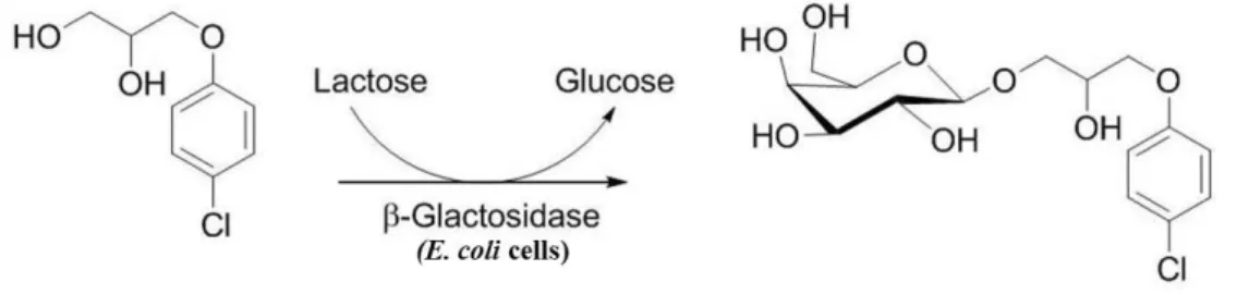Fig.  1  Enzymatic  galactosylation  of  CPN  using  E.  coil  β-gal.
