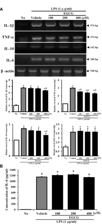 Fig.  4.  Effects  of  EGCG  on  the  expression  of  pro-inflammatory  and  anti-inflammatory  cytokines  in  LPS-activated  RAW  264.7  cells