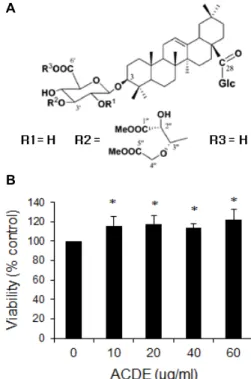 Fig.  1.  Effect  of  ACDE  on  cell  viability.  (A)  Chemical  structure  of  ACDE  isolated  from  the  methanol-soluble  fraction  of  the  dried  roots  of  A