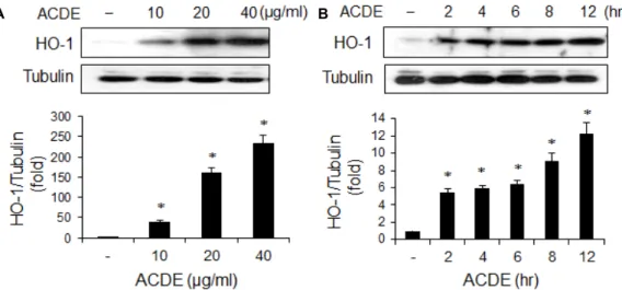 Fig.  2.  Induction  of  HO-1  by  ACDE.  RAW  264.7  cells  were  incubated  with  various  concentrations  of  ACDE  for  8  hr  (A),  or  with  ACDE  (40  μg/ml)  for  indicated  times  (B)