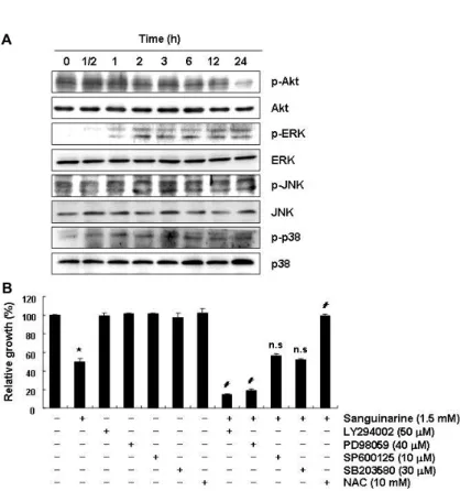 Fig.  6.  Effects  of  sanguinarine  treatment  on  the  PI3K/ 