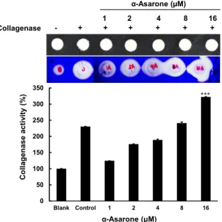 Fig.  3.  Protective  effect  of  α-asarone  on  DNA  oxidative  damage  induced  by  hydroxyl  radical