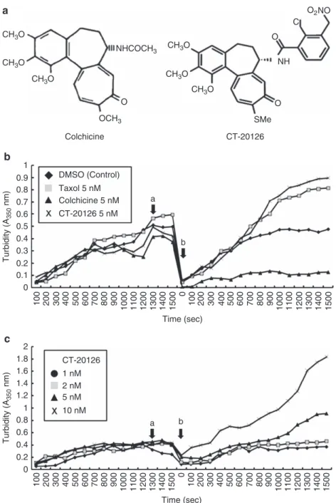 Figure 1 Turbidity-assessed time course of in vitro microtubule assembly. (a) Chemical structures of colchicine and CT20126