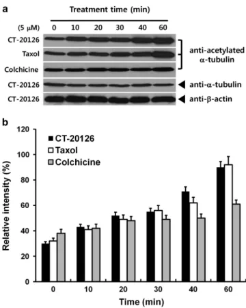 Figure 2 Modulation of cellular microtubules in response to CT20126 treatment. (a) COS-7 cells were cultured in the presence of various concentrations of CT20126 for 40 min at 37 1C and processed for immunocytochemistry