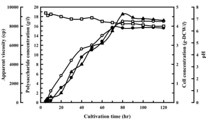 Fig.  5.  Estimation  of  molecular  weight  of  Biopol32  by  gel-per- gel-per-meation  HPLC  with  PL-GFC  column