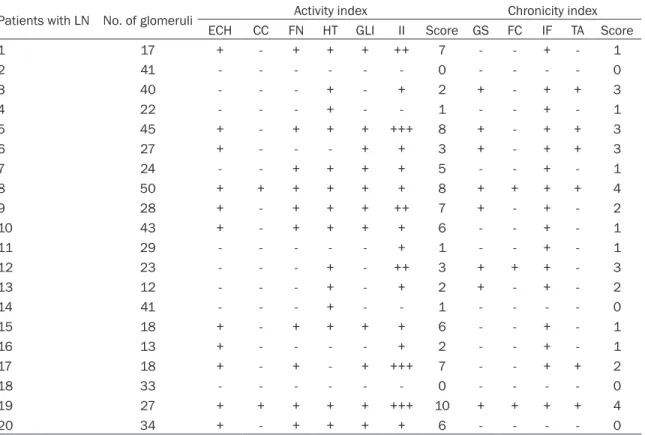 Table 5. Summary of histological features of activity and chronicity in lupus nephritis