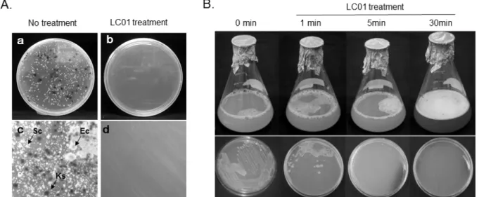 Fig.  2.  Effect  of  sanitization  and  disinfectant  for  micro-organisms  treated  with  0.1%(w/v)  of  a  chlorine  dioxide  bubble  gas  tablet  (LC01)