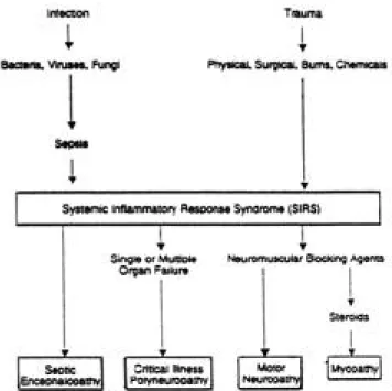 Figure 1. Various factors associated with the development of the systemic inflammatory response syndrome(SIRS) and its nervous system complications