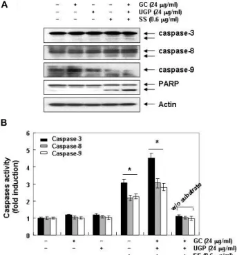 Fig.  7.  Effects  of  GC,  UGP  and  SS  extracts,  and  co-treatment  with  GC,  UGP  and  SS  on  the  activation  of  caspases  and  the  degradation  of  PARP  protein  in  AGS  cells  for  24  hr