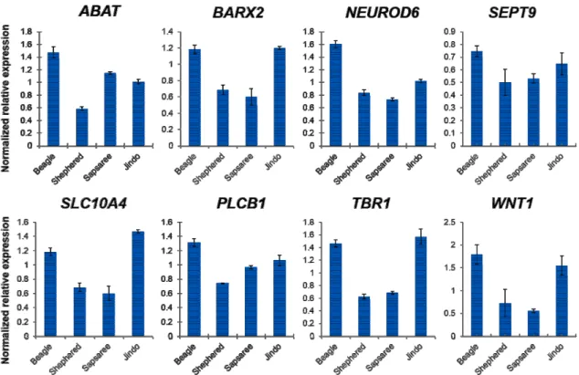 Fig.  1.  Quantitative  real-time  RT-PCR  analysis  is  performed  for  the  comparison  of  eight  genes  (ABAT,  BARX2,  NEUROD6,  SEPT9,  SLC10A4,  PLCB1,  TBR1,  WNT1)  of  expression  levels  in  four  dog  breeds