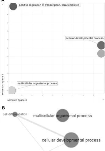 Fig.  2.  Molecular  functions  of  eight  genes  in  this  study.  After  DAVID  analysis,  GO  terms  were  obtained  (P-values 