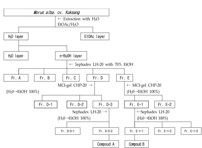 Fig.  1.  A  procedure  for  the  isolation  of  phenolic  compounds  from  Morus  alba  cv