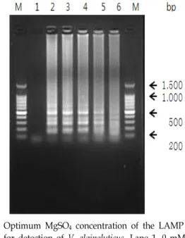 Fig.  5.  Optimum  deoxynucleotide  triphosphate  (dNTP)  concen- concen-tration  of  the  LAMP  reaction  for  detection  of  V