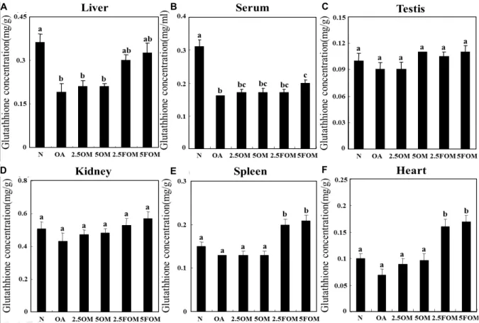 Fig.  3.  Effects  of  OM  and  FOM  on  glutathione  concentrations  in  orotic  acid-induced  fatty  liver  model  rats