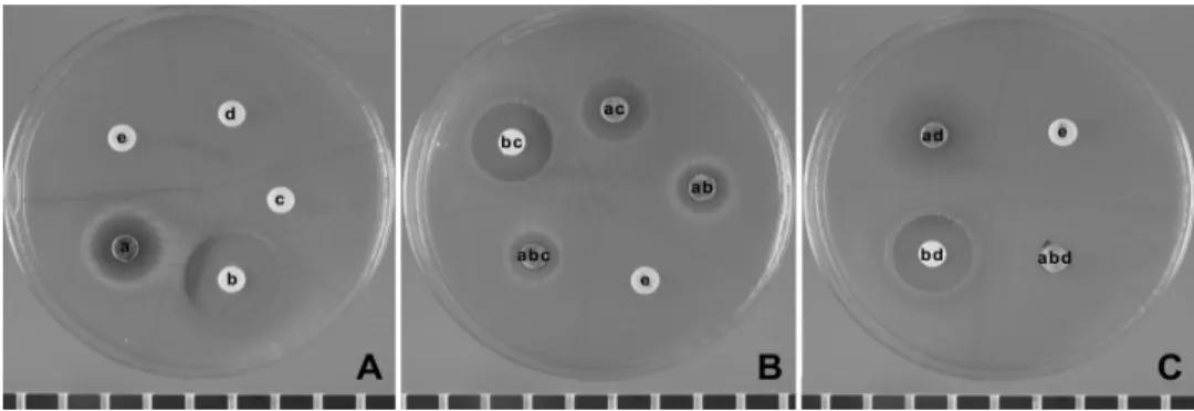Fig.  3.  Antimicrobial  activity  for  Staphylococccus  aureus  (100  mg/ml).