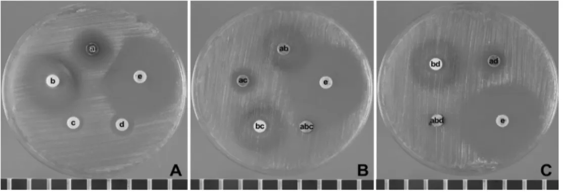 Fig.  5.  Antimicrobial  activity  for  Candida  albicans  (100  mg/ml).