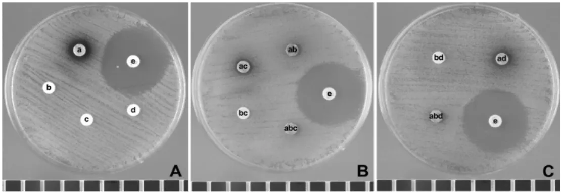 Fig.  6.  Antimicrobial  activity  for  Malassezia  furfur  (100  mg/ml).