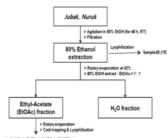 Fig.  1.  Flow-Scheme  of  Sample  Preparation.  Ethyl  acetate  frac- frac-tion  of  E-Ju  lees  extract  (YAc),  E-Ju  lees  extract  (with  80%  ethanol)  (YE),  ethyl  acetate  fraction  of  B-Ju  lees   ex-tract  (PAc),  ethyl  acetate  fraction  of  