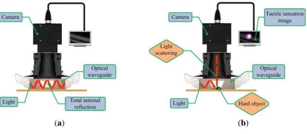 Figure 2 gives a conceptual diagram of the imaging principle. 