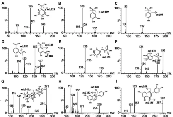 Fig.  1.  Spectra  of  LC/MS/MS  fragmentation  patterns  of  compounds  1-9  isolated  from  sorghum  cultivar  HGC