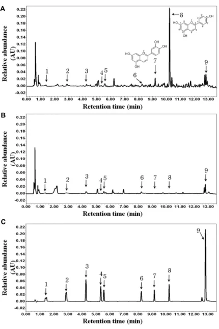 Table  4.  Content  of  phenolic  compounds  (compounds  1-9)  of  the  sorghum  cultivars  HGC  and  HC