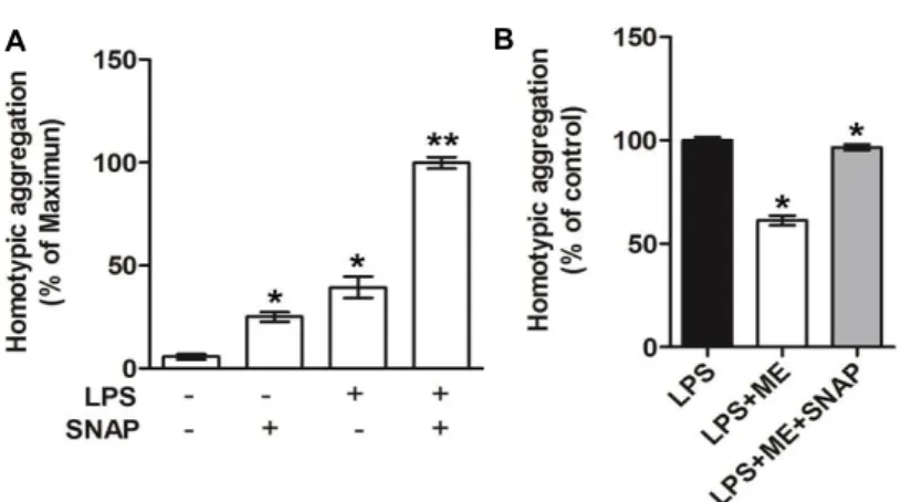 Fig.  4.  Effect  of  Maesil  extract  and  the  NO-producing  agent  S-nitroso-N-acetyl  penicillamine  (SNAP)  on  homotypic  aggregation  in  LPS  activated  THP-  1  cells