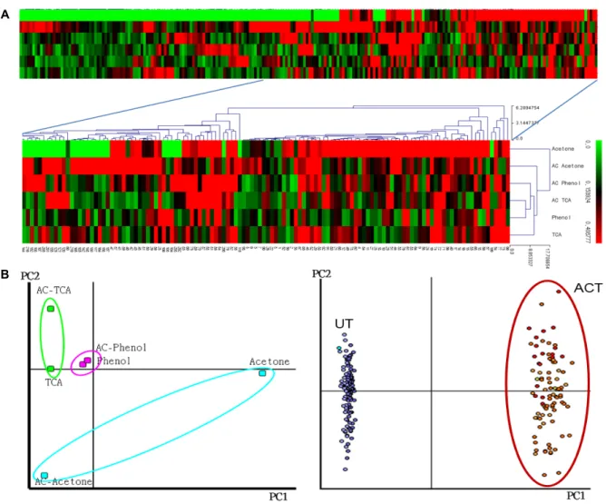 Fig.  3.  Hierarchical  clustering  (HCL)  and  principal  component  analysis  (PCA)  of  ginseng  leaf  proteins